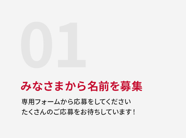 01 みなさまから名前を募集 専用フォームから応募をしてください。たくさんのご応募をお待ちしています！
