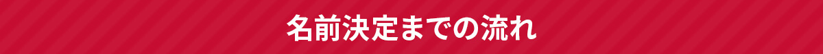 名前決定までの流れ